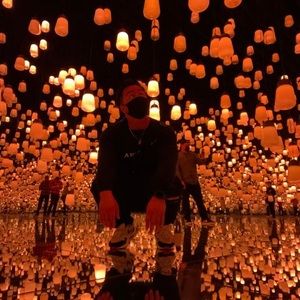 Meet your Posher, Wilshire